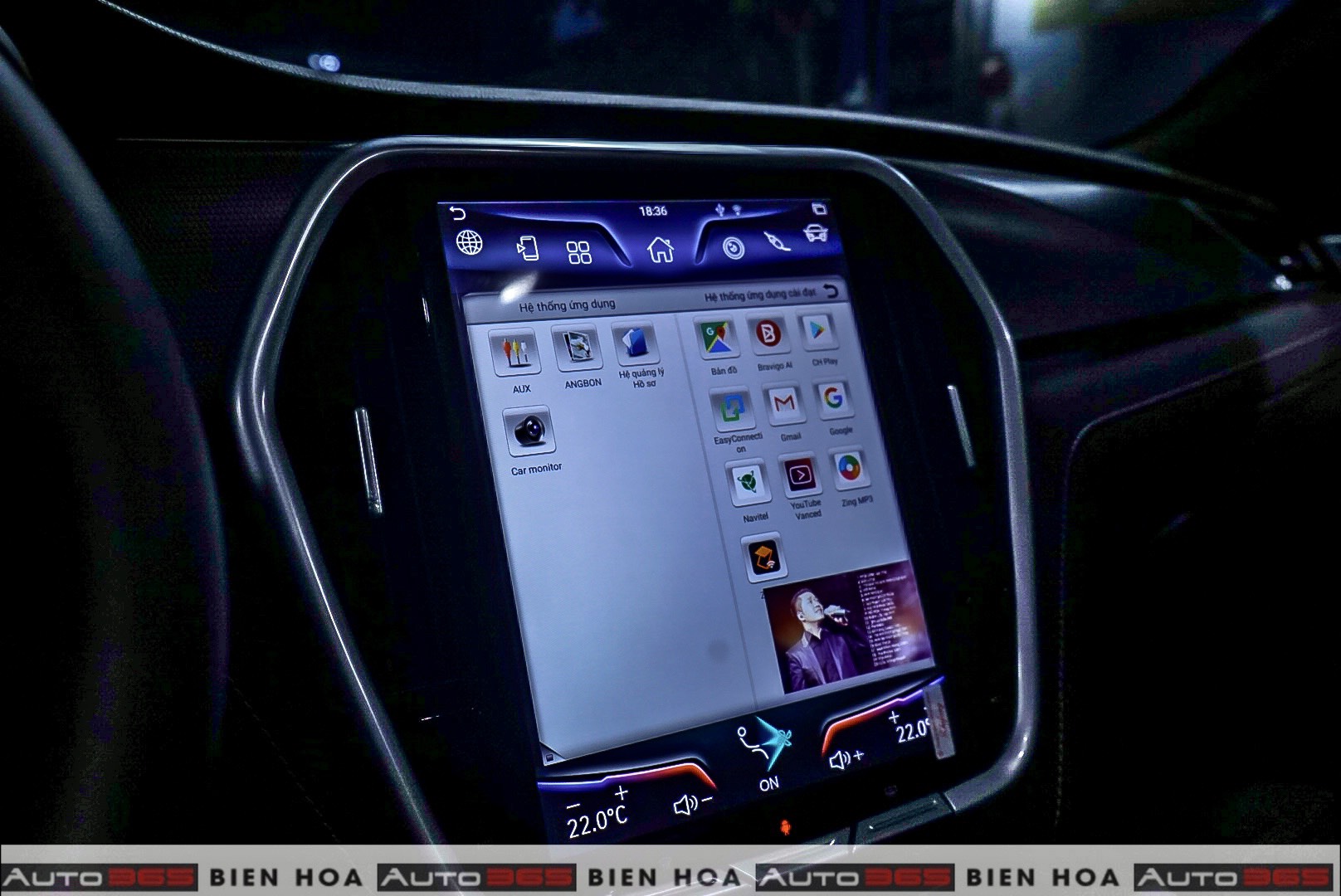 do_vinfast_tai_dong_nai